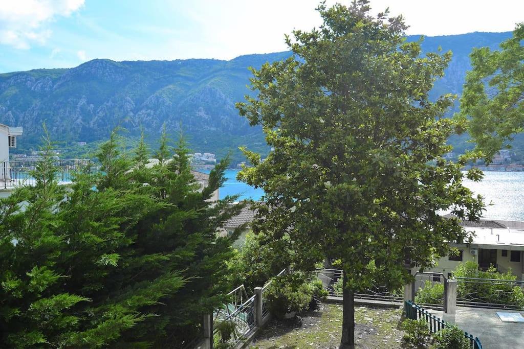 Urban Escape For Two In Kotor Apartamento Exterior foto